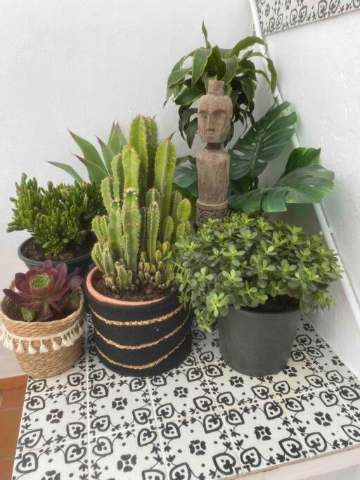 Appartement Palmas In Old Town *